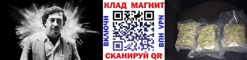 Псилоцибиновые грибы Зима