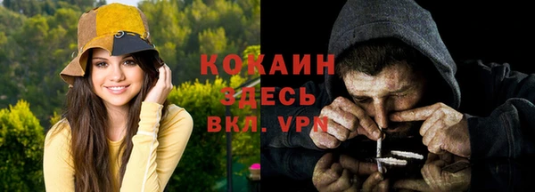 прущие грибы Балабаново