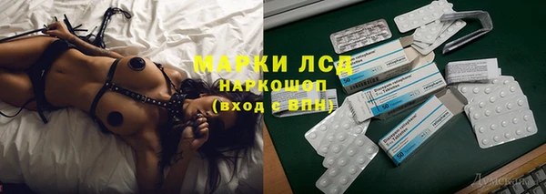прущие грибы Балабаново