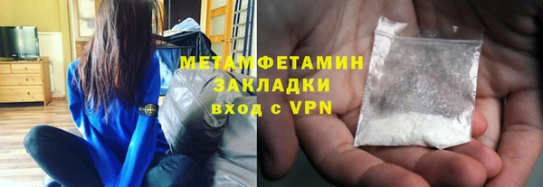 прущие грибы Балабаново