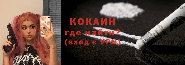прущие грибы Балабаново