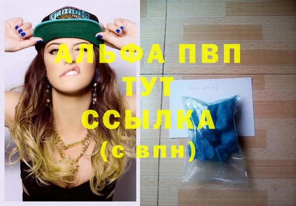 прущие грибы Балабаново