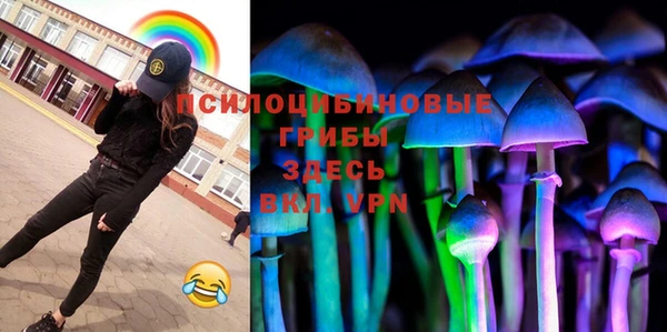 герыч Ладушкин