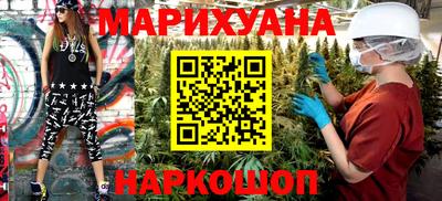 крисы Моздок