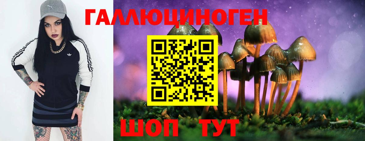 Галлюциногенные грибы мухоморы  Вход с VPN  Зима 